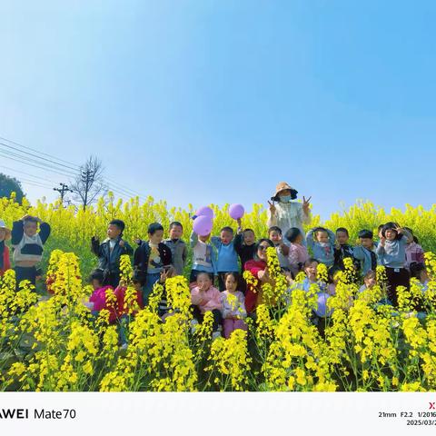 板溪镇中心幼儿园小班“春日远足"之观赏油菜花
