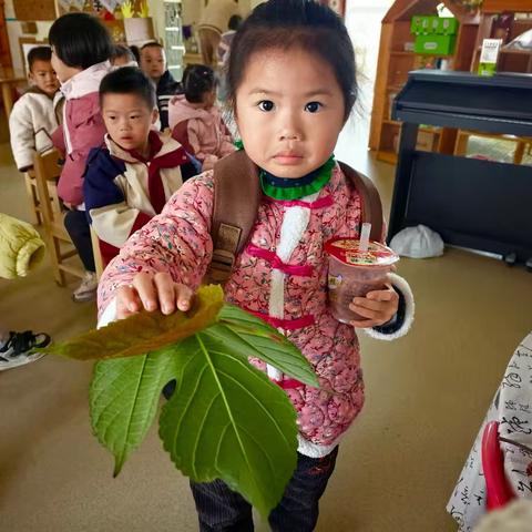 寻找和制作今秋落叶🍂——（中班手工活动）