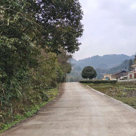 做社饭