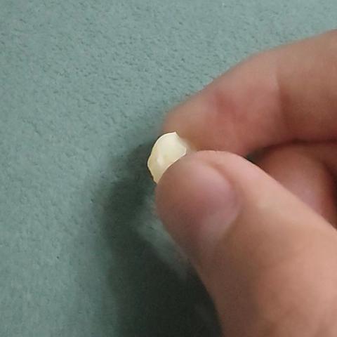 刘博禹的寒假生活