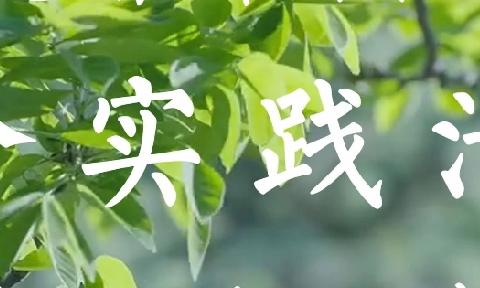 【附中学子这样过暑假】——忻州师范学院附属中学初12班陈泊帆2024年暑期实践活动小记（研习成果）