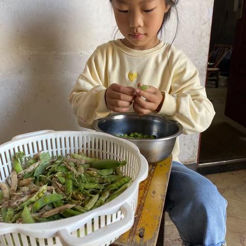 五一劳动节，劳动最光荣