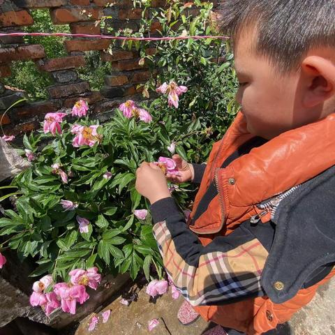 冰蓝色的血的简篇