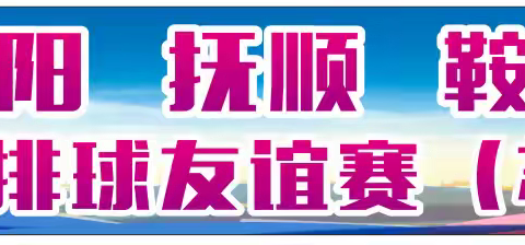 沈阳、抚顺、鞍山城市互访朝鲜族排球友谊赛（苏家屯站）圆满落幕