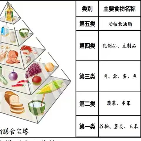 大港三幼【宣】 守护宝贝健康 合理营养与食品安全指南