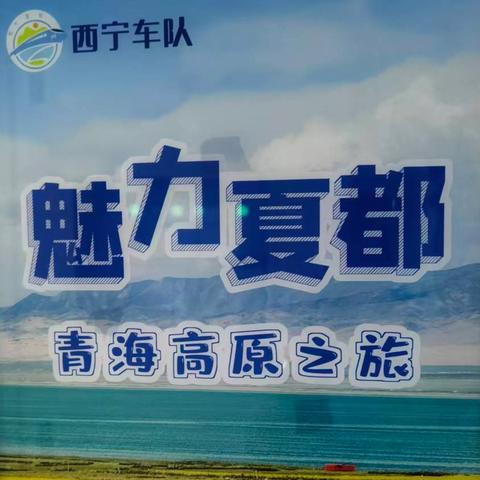 西宁车队春运特辑—服务进行时