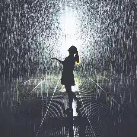 夏雨