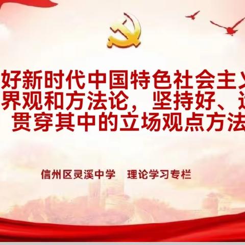 理论学习：把握好新时代中国特色社会主义思想的世界观和方法论，坚持好、运用好贯穿其中的立场观点方法