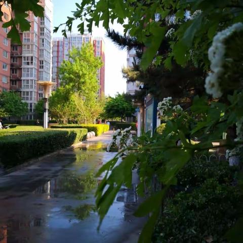 ［附中学子这样过囯庆］庆祝中国红——忻州师范学院附属外国语中学初361班樊柯蕊2023年国庆假期