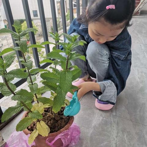 寿昌小学102班陈思淼，劳动最光荣！