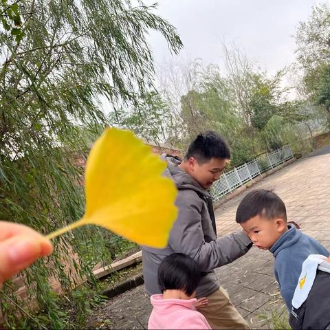 青龙湾伟才生态幼儿园小二班11月总结