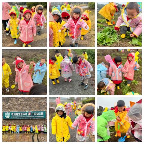 青龙湾伟才生态幼儿园 小二班三月总结