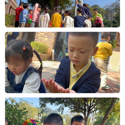 青龙湾伟才生态幼儿园 ‍KB2班11月月总结