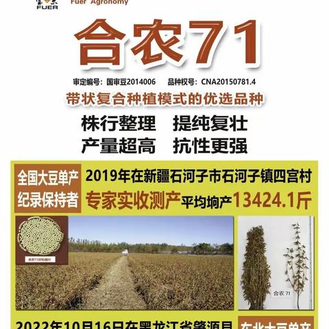 合农71 高产大豆品种 齐齐哈尔市富尔农艺有限公司
