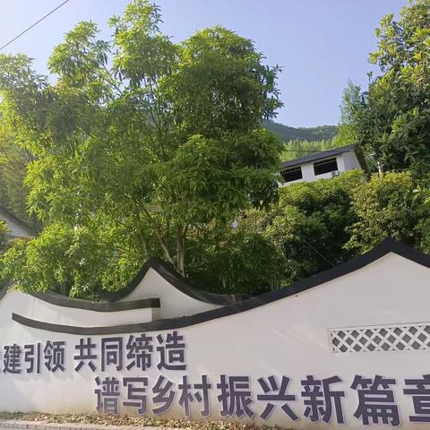 感受田园风光 ，体验劳动乐趣——高旗实验小学105班 伍霁越