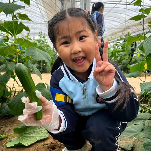 嘉宝幼教《寻味农耕.探索自然》          庆六一 国际交流研学