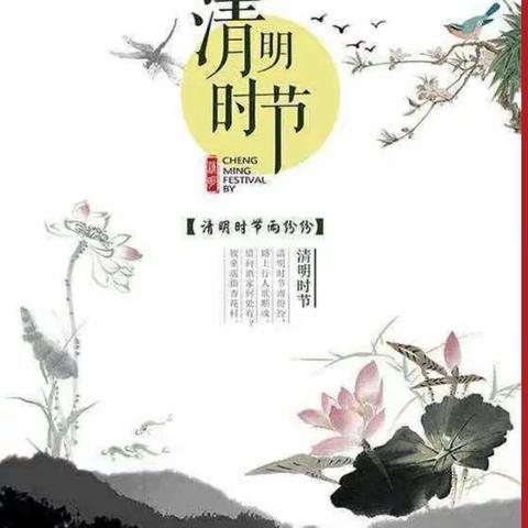 张芝小学五2班“缅怀革命先烈，争当红色少年"清明节扫墓活动