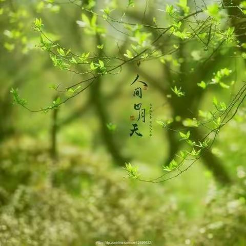 美好四月——四(3)班