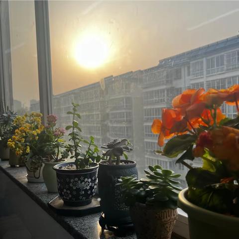 卫生于细，环境育人——高二年级环境卫生评比活动