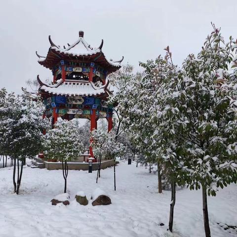 雪后美景的守护者--义马园林人在行动