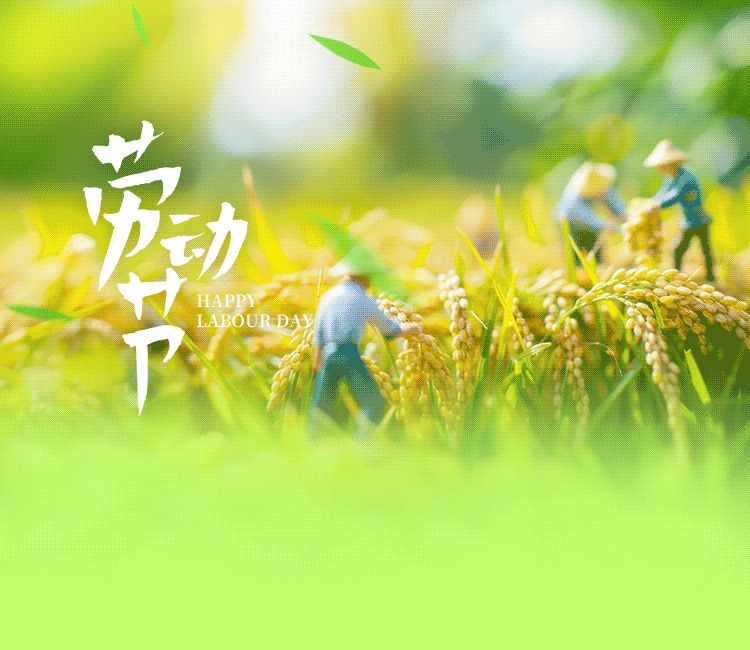 不负春光美，劳动润童心——河阳小学五一劳动节主题实践活动方案