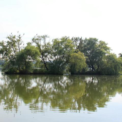 沈阳溪溪湿地公园