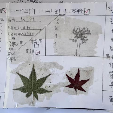 亲近自然，寓教于乐——记三台校区科学实践活动