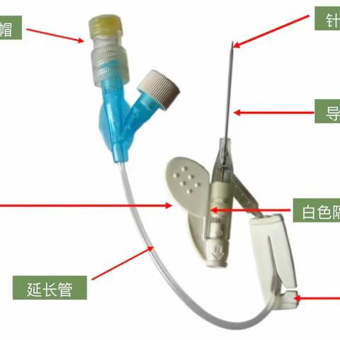 浅谈留置针