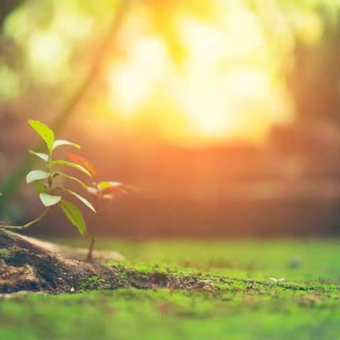 2024年宜章县湘南红军小学6月督导简报