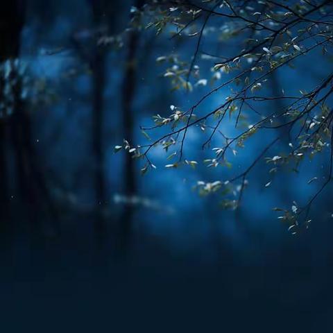 古城镇快乐村——打好防汛“主动仗”筑牢汛期“安全墙”