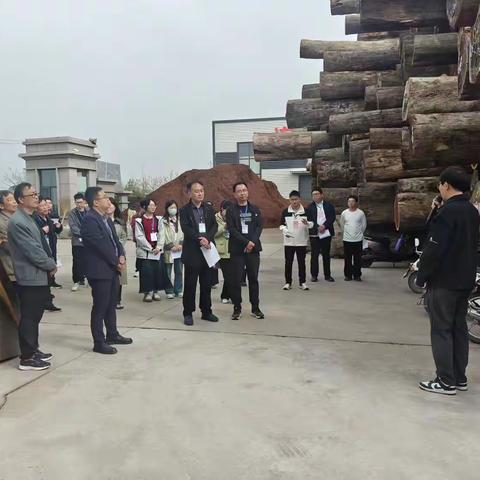 王庄镇开展人大代表视察调研活动 ——一线调研察实情，书写履职新答卷