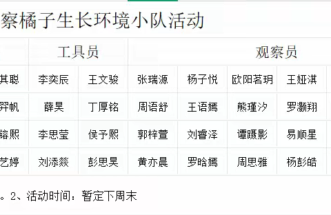 寻橘洲绿意，探草木生长｜2106 中队橘子树观察实践活动纪实