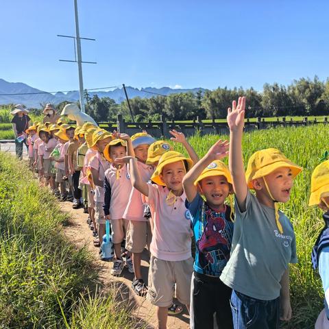 《温泉奇遇记》—七叉镇中心幼儿园本土资源园本课程活动