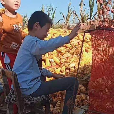 关爱学生幸福成长——西吕营镇中心校南河马小学三2班德育活动