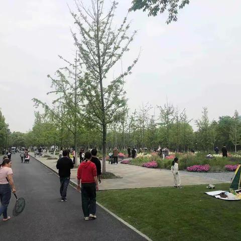 【附中学子这样过五一】—忻州师范学院附属中学初二10班王舒杋2024年五一假期时间实践活动 班主：蔡文杰