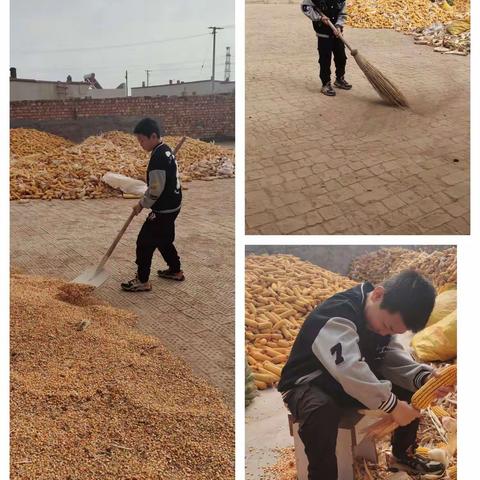 "劳动砺心志，实践促成长——奋斗小学六三班劳动实践活动