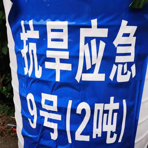 【童言稚语】2023年5月3日   2吨=2蹲