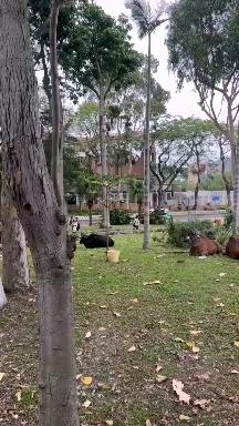 20230501-五一游玩香港万宜水库