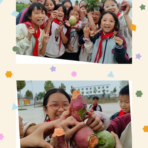 劳动启智 绿意盈心—— 九龙山小学五一班校园劳动基地探索之旅