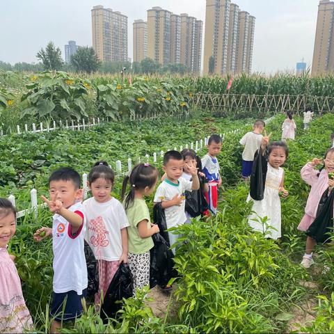 金字塔幼儿园（二部）育德二班🍆🫑——去小农场半日游