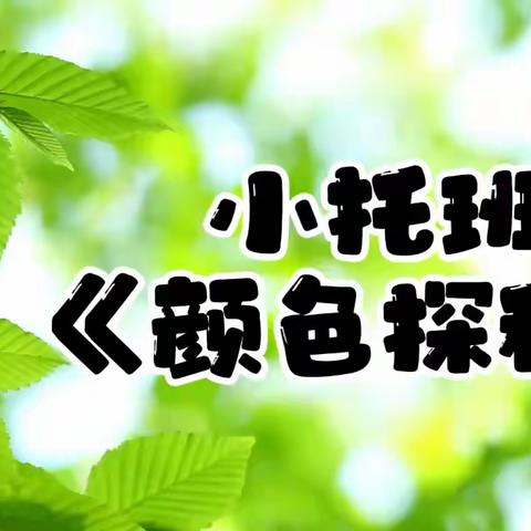 小托班《颜色探秘》