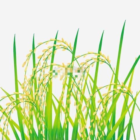 劳动教育在“乐田” 启智润心得彰显