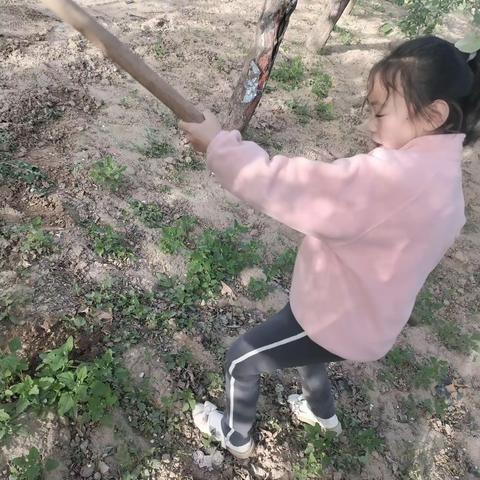 五一劳动节  我在行动