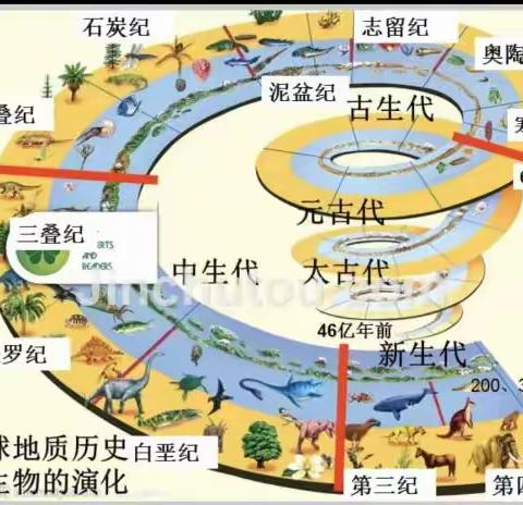 地学科普——走进新华三小