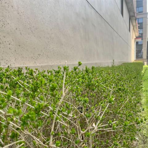 包头恒大天玺物业服务中心3月份工作总结