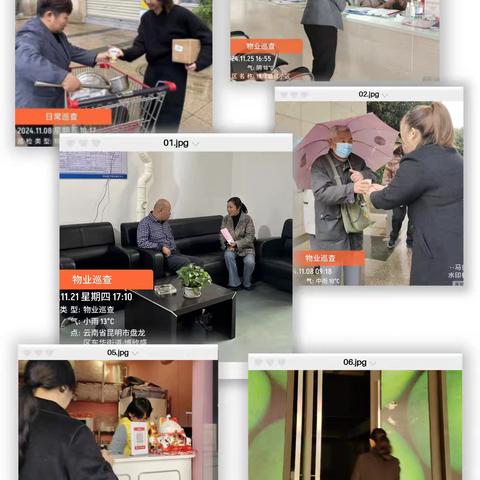 博欣盛世小区2024年11月工作简报