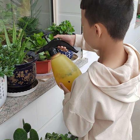 实验小学四年级一班虎靖