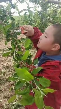 五一来到春色好 彩云飘飘阳光照