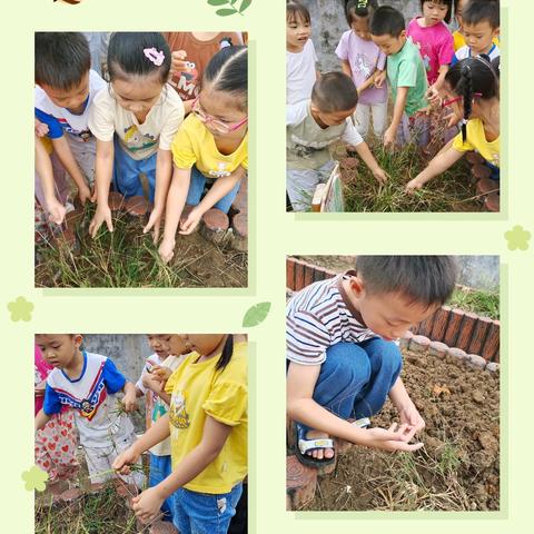 大四班种植活动