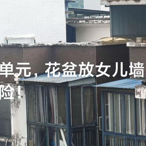 共建美丽小区在行动之三